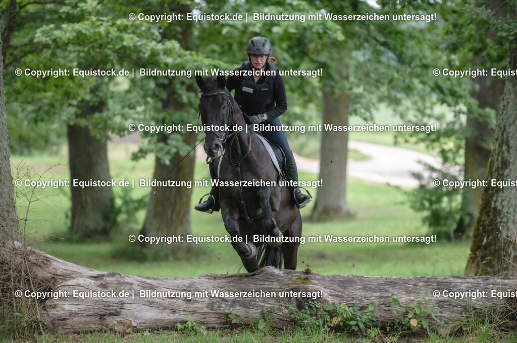 20250726_Vielseitigkeitslehrgang-Marbach_0759 | Foto: Thomas Hartig