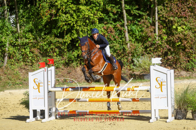 DKP43079 | Turniersportfotografie; Pferdefotografie; Dressurfotografie