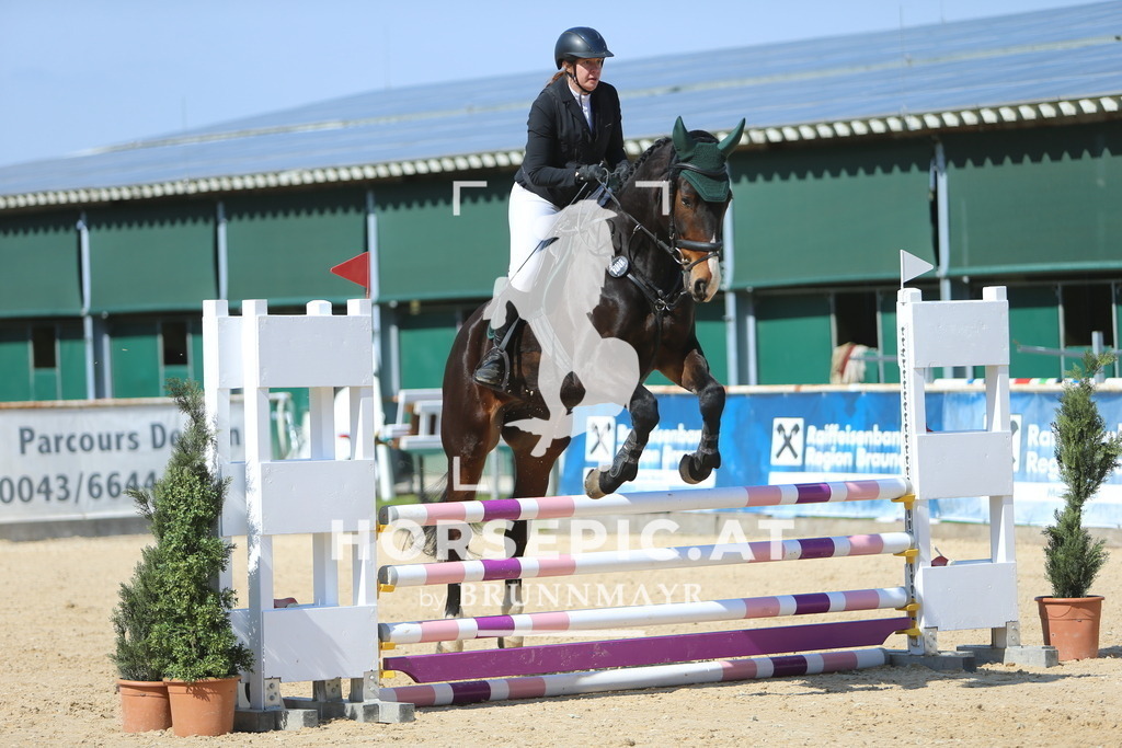 DL2Q3161 | Willkommen bei Brunnmayr - Design & Fotografie – Ihrem Spezialisten für Reitturniere und Pferdeveranstaltungen in Oberösterreich, Salzburg und Bayern! Seit über 17 Jahren sind wir leidenschaftlich dabei.