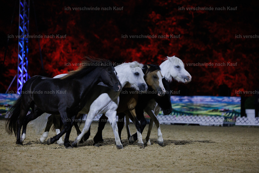 FHClassics-261 | working equitationturnier fotograf videograf stoibphotography marixx film working equitation deutschland reitsport turnierfotografie eventfotografie equestrian events