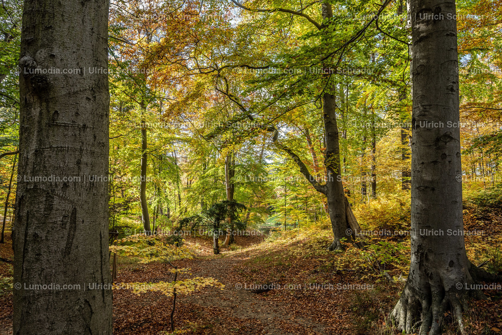 10049-12597 - Schloßpark Ilsenburg im Harz | Stockfoto und Bilderpool mit Bildmaterial aus Deutschland, dem Harz, Halberstadt, Quedlinburg, Wernigerode und weltweit. Qualitativ hochwertige und professionelle Fotos anschauen und kaufen. - Realisiert mit Pictrs.com