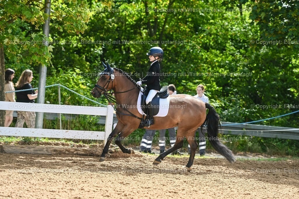 20230716_10-3_Reiter-WB Schritt - Trab - Galopp_0049 | equistock
