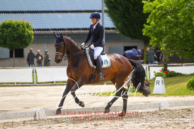 DKP40437 | Turniersportfotografie; Pferdefotografie; Dressurfotografie