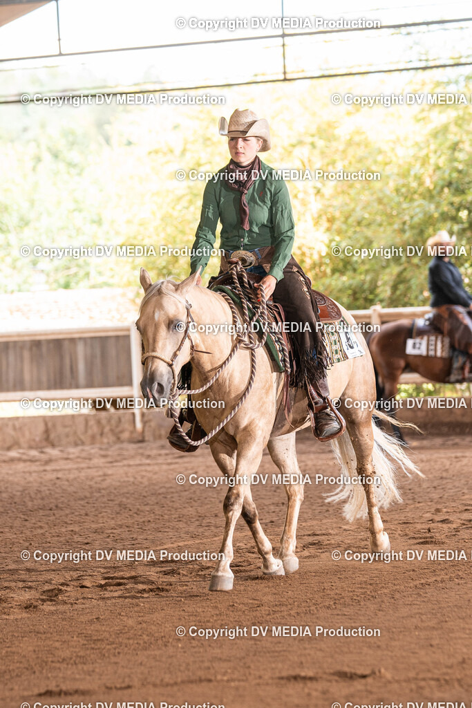 Erbach Tag 3-1138 | dv-media-shop - Realisiert mit Pictrs.com