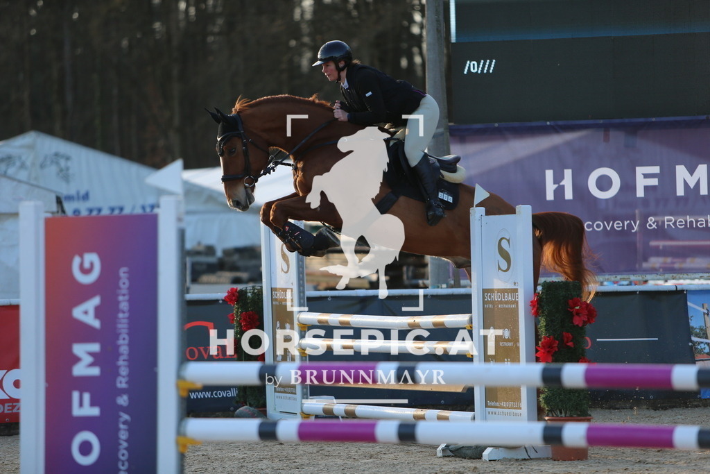 DL2Q7738 | Willkommen bei Brunnmayr - Design & Fotografie – Ihrem Spezialisten für Reitturniere und Pferdeveranstaltungen in Oberösterreich, Salzburg und Bayern! Seit über 17 Jahren sind wir leidenschaftlich dabei.