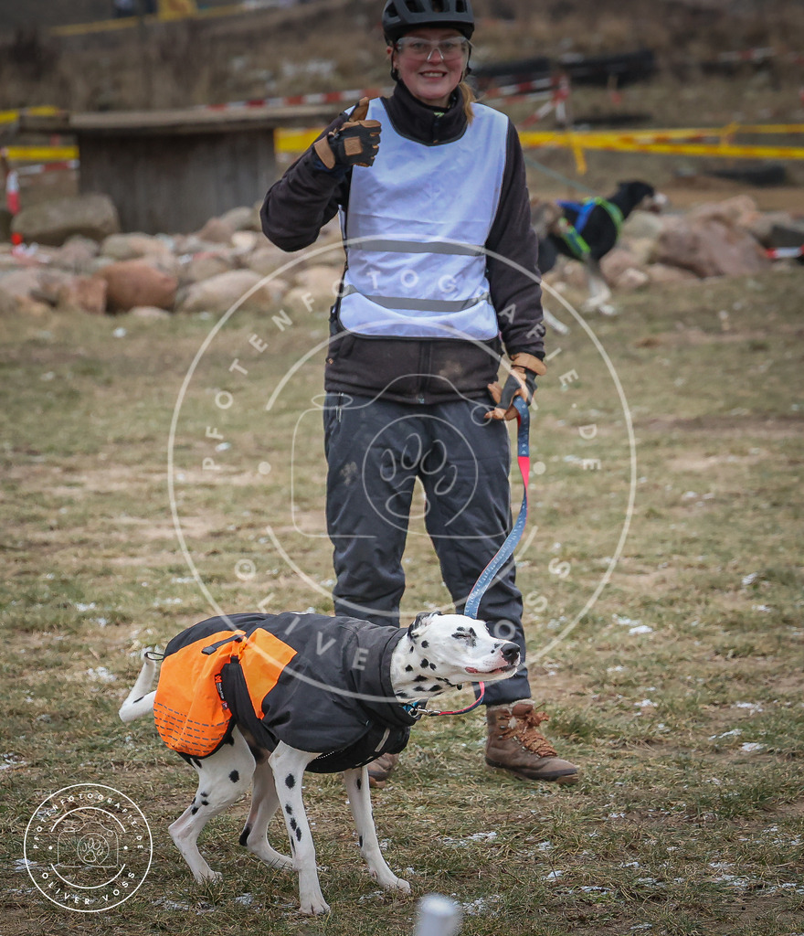 Pfotenfotografie_0L8A2179 | Hundefotografie, Tierfotograf, Pfotenfotografie, Fotoshooting Hund, Hunde Portrait, Hundesport, Hundeportraits, Heideshooting, Hunde, Sportfotograf, Hundefotograf, Turnierhundsport, THS,  - Realisiert mit Pictrs.com