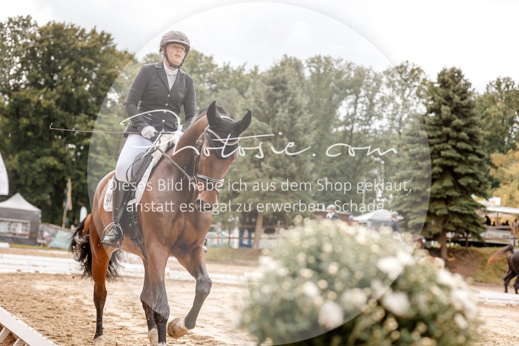 3I6A6939 | Stimmungsvolle Portraits und Reitsportfotografie im Ruhrgebiet und im Münsterland.

Pferdefotografie, Hundefotografie, Tierfotografie, Reportagen, Portraits von Tier und Mensch, Turnierfotografie in Bochum, Recklinghausen, Marl, Haltern am See, Dülmen.. - Realisiert mit Pictrs.com