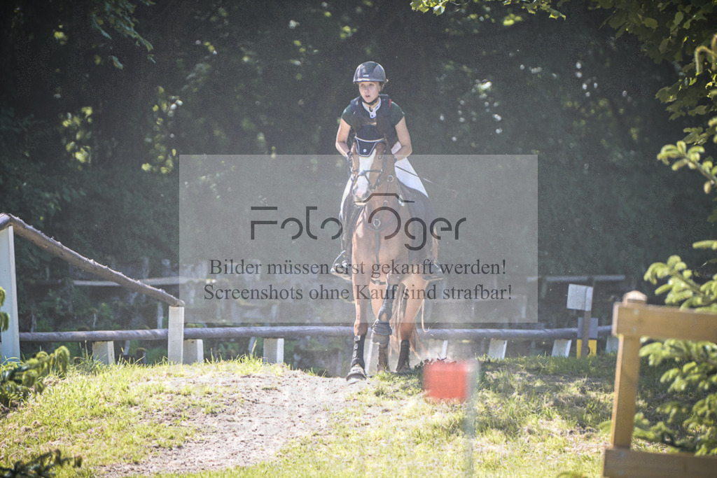 DOS_7455 | Entdecke hochwertige Reitturnierfotos von Foto Oger. Professionell, emotional und authentisch – jetzt Lieblingsmomente im Shop bestellen.Deutschlandweite Turnierfotografie. - Realisiert mit Pictrs.com