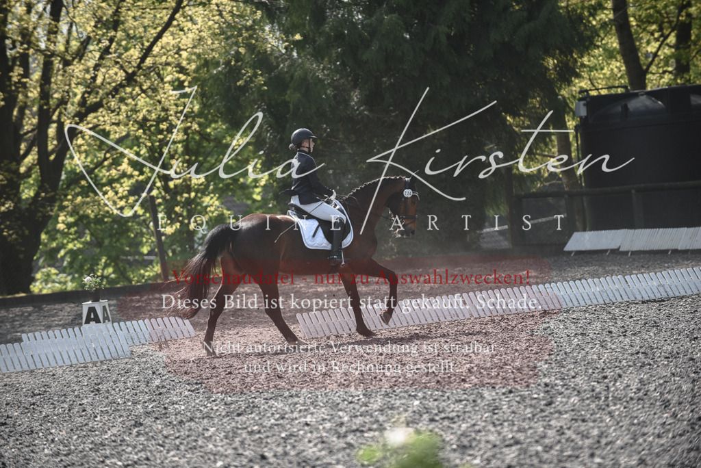 20230513_JK-Röhrsdorf-14-358 | Pferde- und Turnierfotografie in Westsachsen. Pferdeportraits, Auftragszeichnungen und intuitive Kunst.