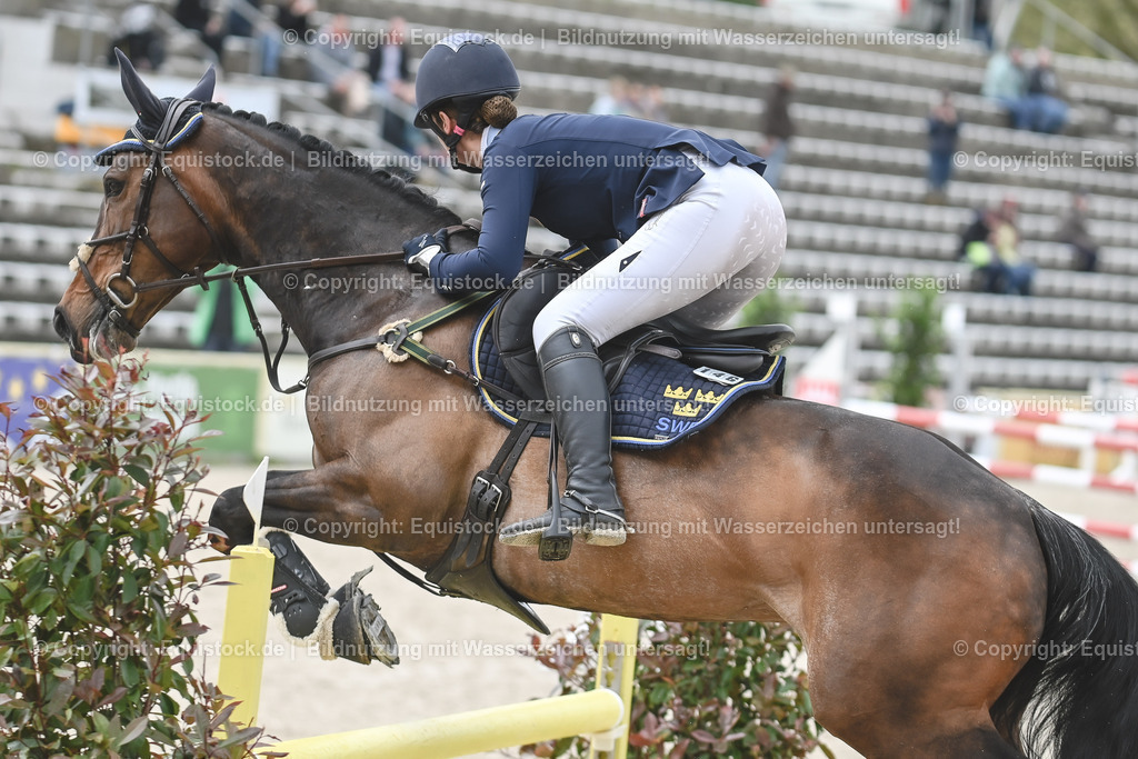20230514_CCI4_Springen_0027 | equistock
