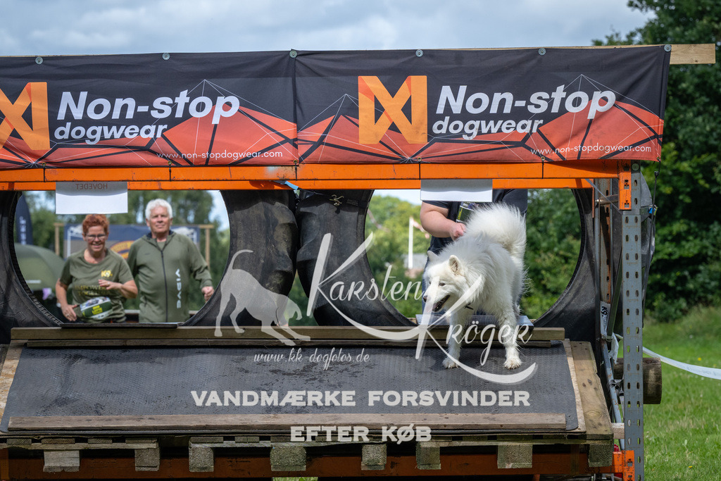 1330_ZZ90103 | kk-dogfotos