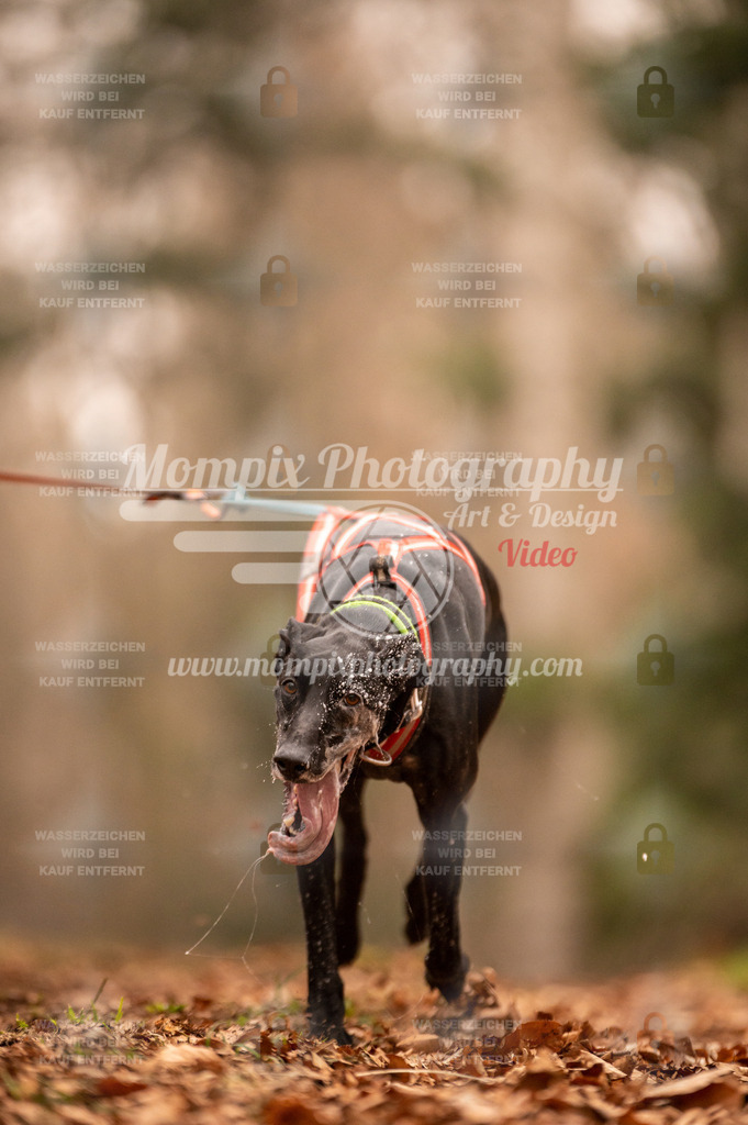 AKM_ST_2023_SAM_Run-32 | PayLife