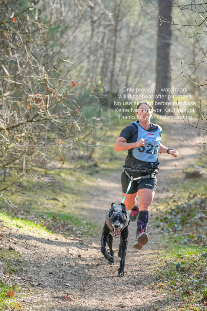 So_CC_short-72 | stephaniefillaphotographie - Realisiert mit Pictrs.com