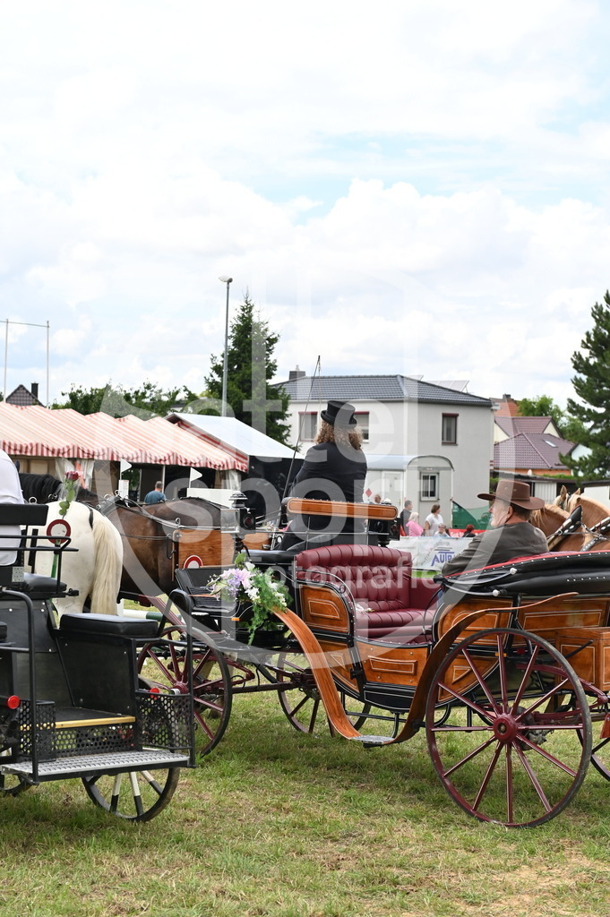 DSC_4245 | sattelsport - Realisiert mit Pictrs.com