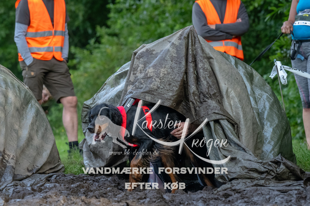 1730_ZZ92357-Bearbeitet | kk-dogfotos