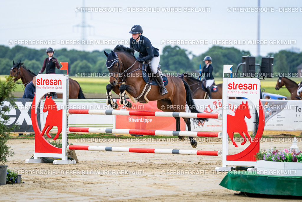 DSC03415 | Pferdegrafie