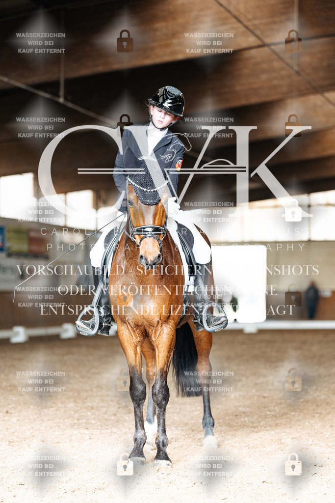 CK902031 | Turnierfotografie Pferdefotografie Trier Rheinland-Pfalz Pferdesport Reitsport Tierfotografie Sportfotografie Pferdevideo Pferdevideografie Equestrianvideography equestrianphotography  - Realisiert mit Pictrs.com
