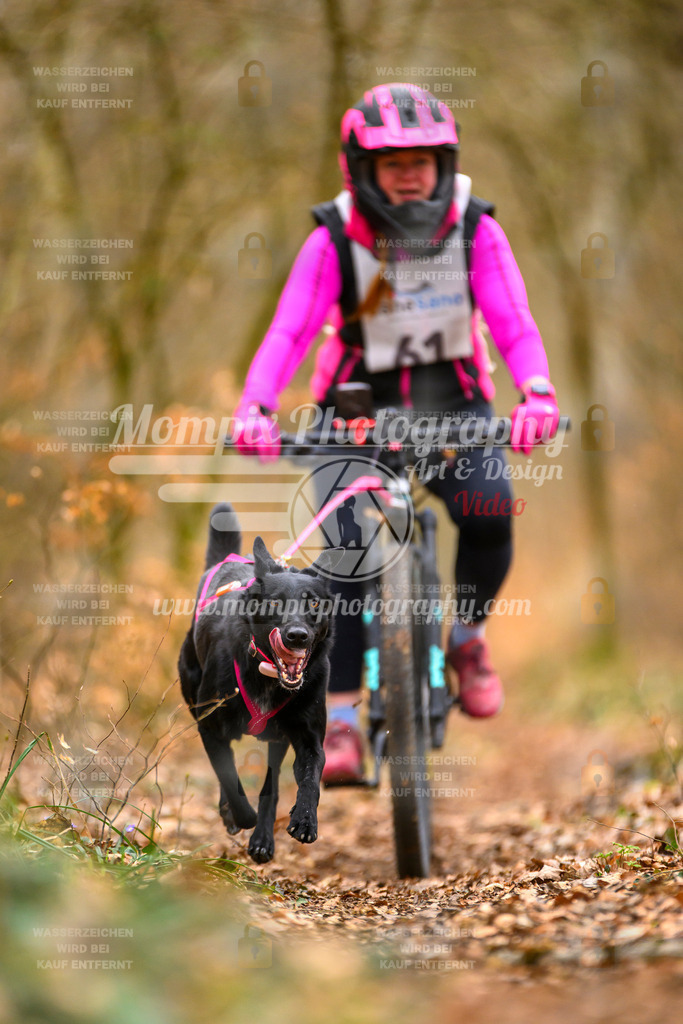 MompixPhotography_ReiatRennen2024_SO_Bike1H-107 | PayLife