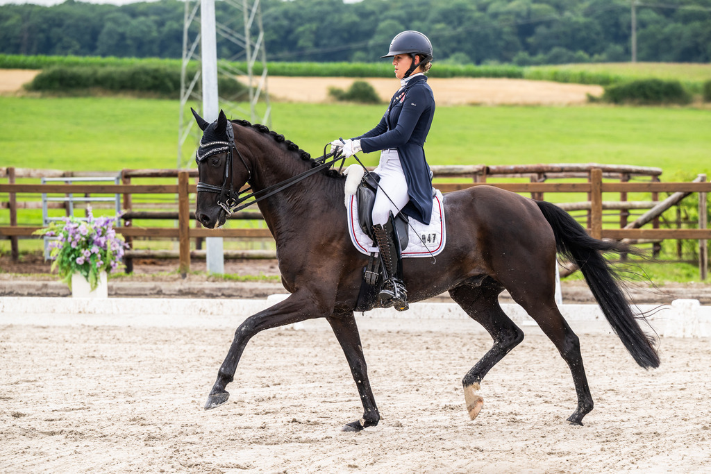 Luxembourg Dressage Championship 2025 - Senior League B | Luxembourg Dressage Championship 2025 - Maite Colling on Fashion Hype - Realisiert mit Pictrs.com