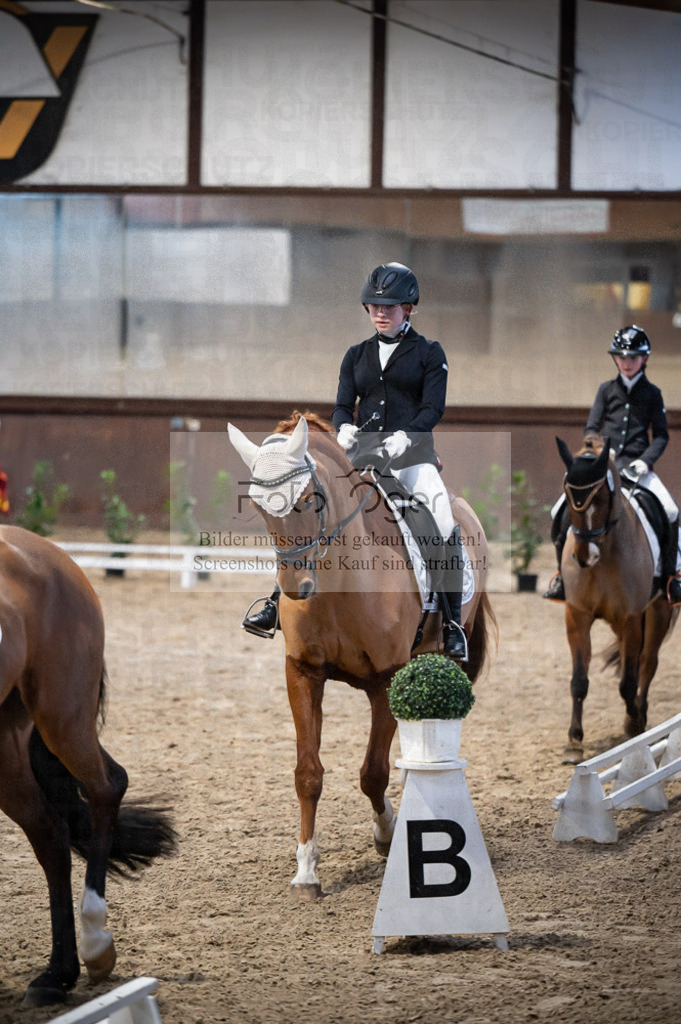 Hallenreittunier Voxtrup 2023 | Entdecke hochwertige Reitturnierfotos von Foto Oger. Professionell, emotional und authentisch – jetzt Lieblingsmomente im Shop bestellen.Deutschlandweite Turnierfotografie. - Realisiert mit Pictrs.com