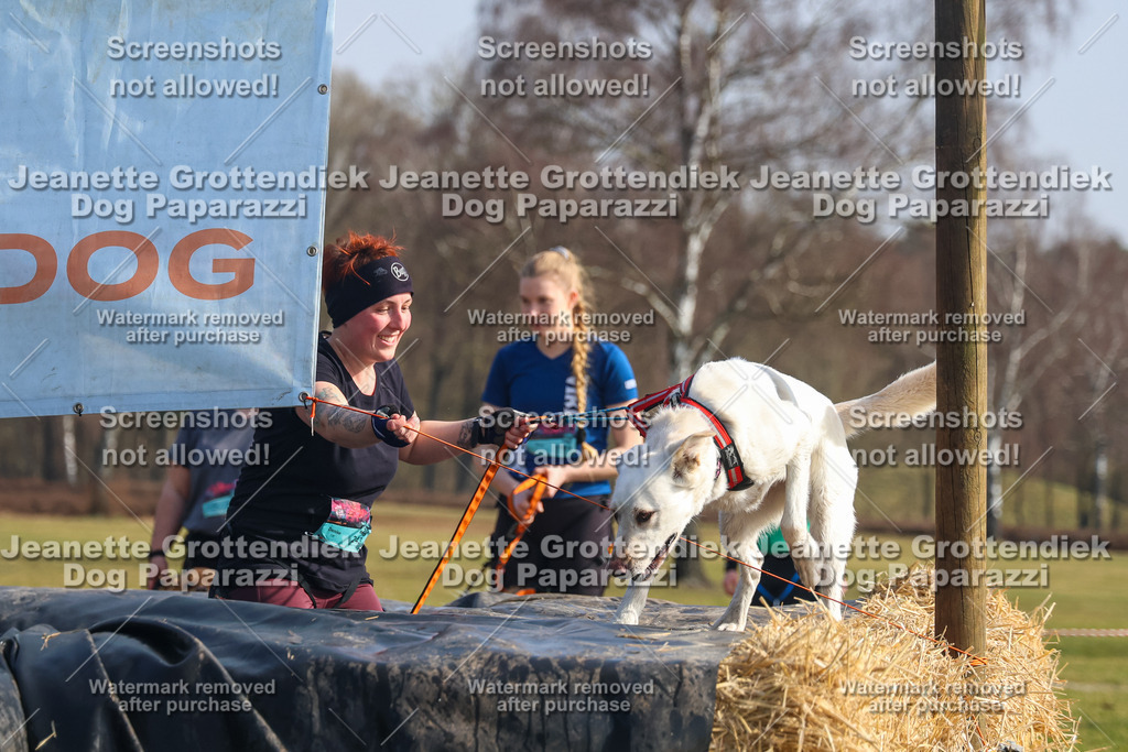 Dog Paparazzi - Strongdog North Mrz26-1914 | Dog Paparazzi Jeanette Grottendiek Fotografie & Videografie - Realisiert mit Pictrs.com