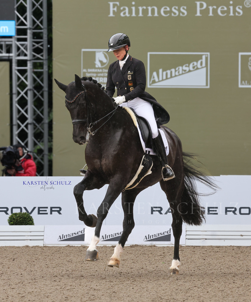 1B3A3832 | Reitsport Reiten