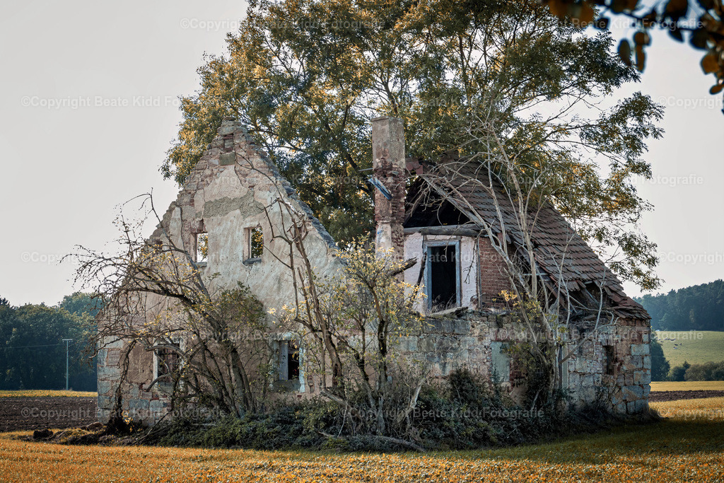 P1200269 | beatekidd-fotografie - Realisiert mit Pictrs.com