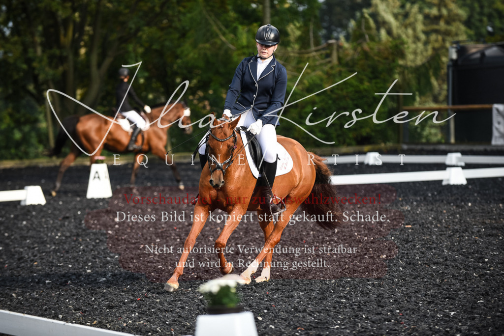 DSC_3461 | Pferde- und Turnierfotografie in Westsachsen. Pferdeportraits, Auftragszeichnungen und intuitive Kunst.
