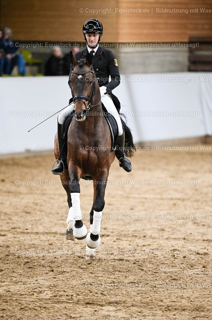 20260307_Hengstvorstellung-Marbach_0363 | equistock