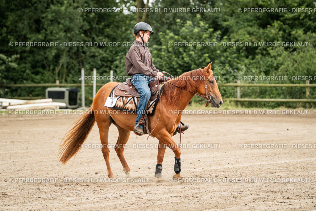 DSC04825 | Pferdegrafie