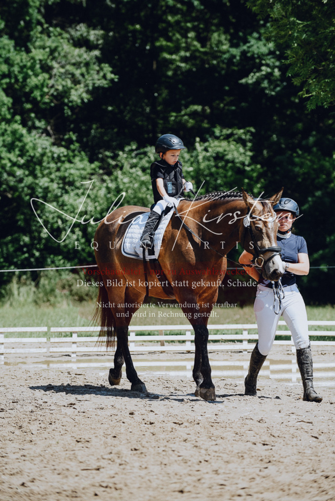 DSC_2563 | Pferde- und Turnierfotografie in Westsachsen. Pferdeportraits, Auftragszeichnungen und intuitive Kunst.
