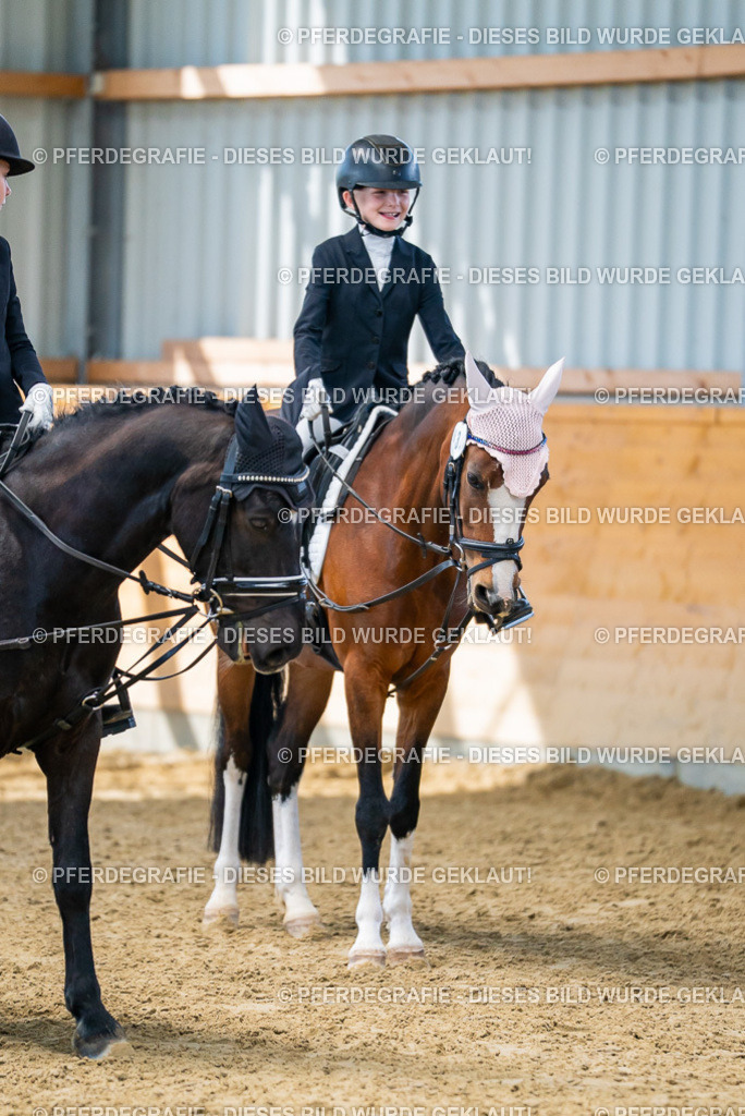 DSC01143 | Pferdegrafie