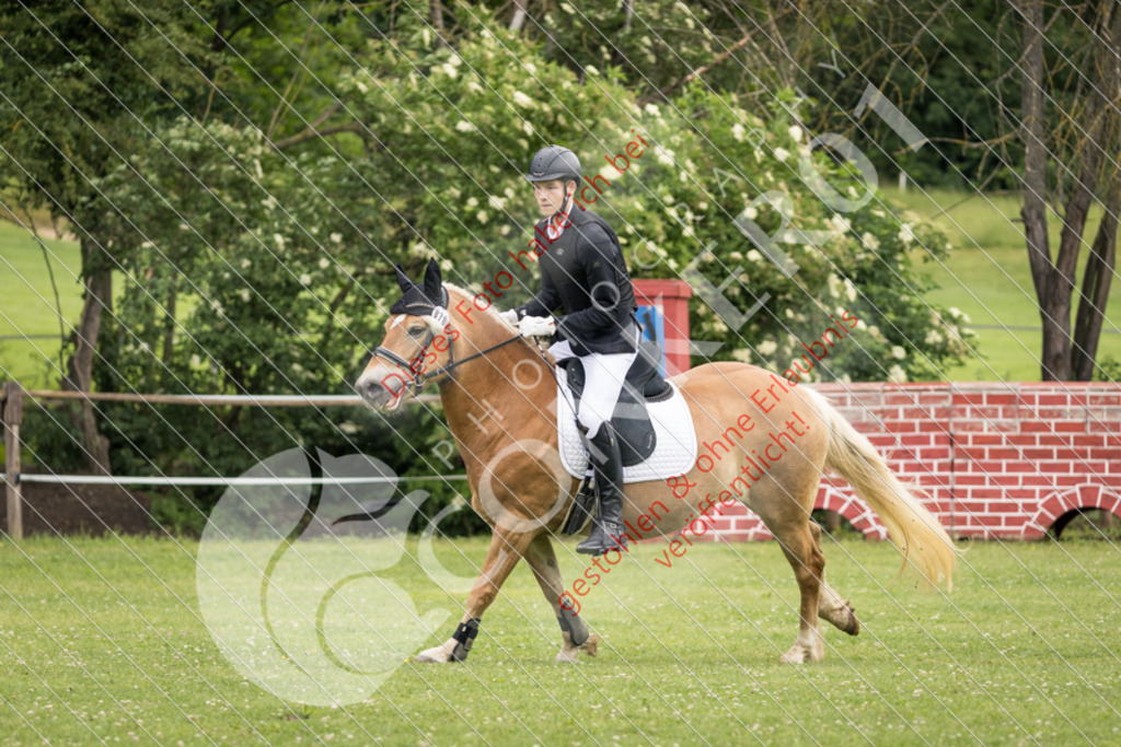 IMG_2299 | Sport-, Event- und Tierfotos in Profiqualität. Einfach auswählen, bestellen und herunterladen. Dein Moment – perfekt festgehalten.