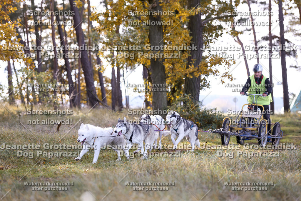 Dog Paparazzi - Elsholz 25 -94 | Dog Paparazzi Jeanette Grottendiek Fotografie & Videografie - Realisiert mit Pictrs.com