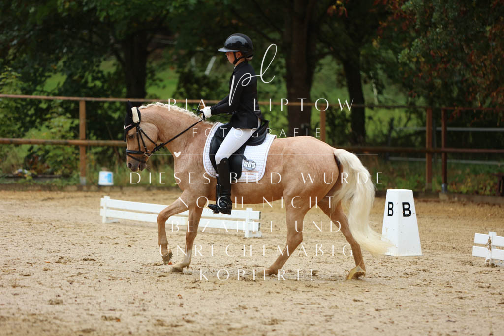 IMGM9293 | pl-fotografie