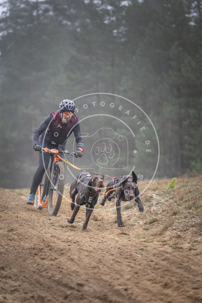Pfotenfotografie_DV3A0755 | Hundefotografie, Tierfotograf, Pfotenfotografie, Fotoshooting Hund, Hunde Portrait, Hundesport, Hundeportraits, Heideshooting, Hunde, Sportfotograf, Hundefotograf, Turnierhundsport, THS,  - Realisiert mit Pictrs.com