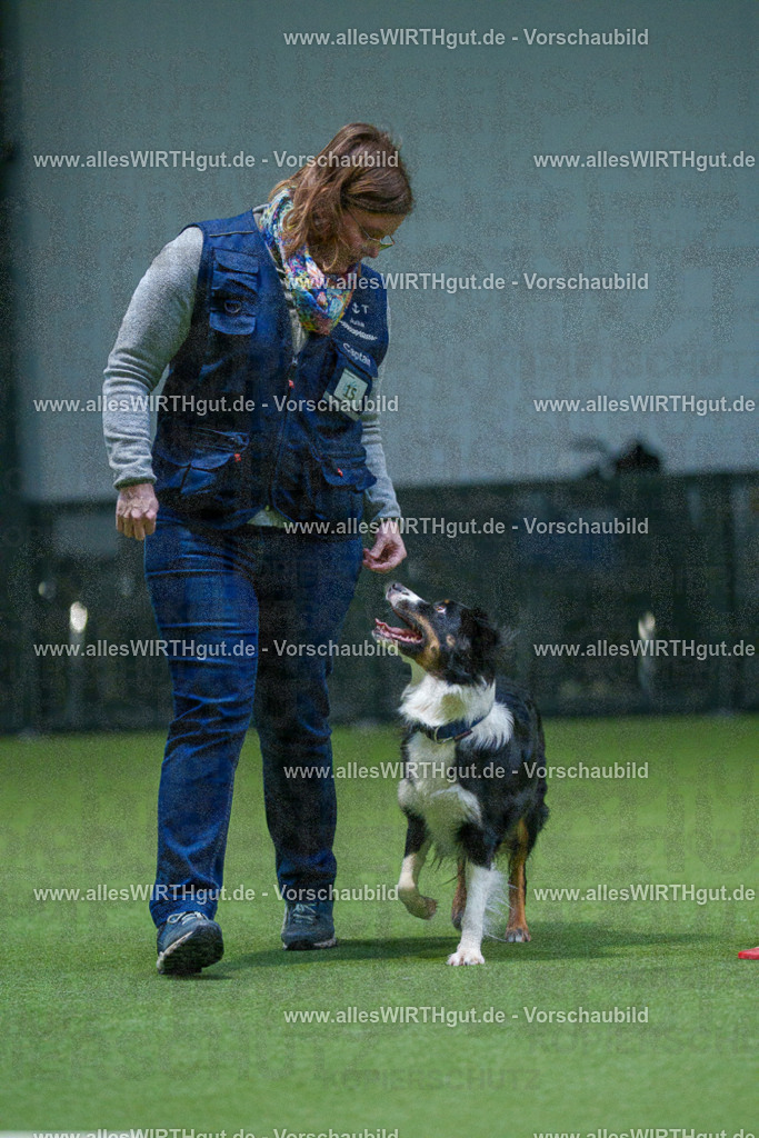 7R500550 | Professionelle Tierfotografie in Mönchengladbach von Daniel Wirth (allesWIRTHgut). Liebevolle & natürliche Bilder von Hunden & Katzen für unvergessliche Erinnerungen.