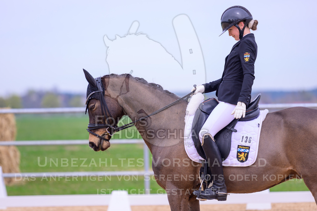 09042026-Mammendorf-Prfg07-0220 | Fokus Hufschlag Fotografie - Realisiert mit Pictrs.com