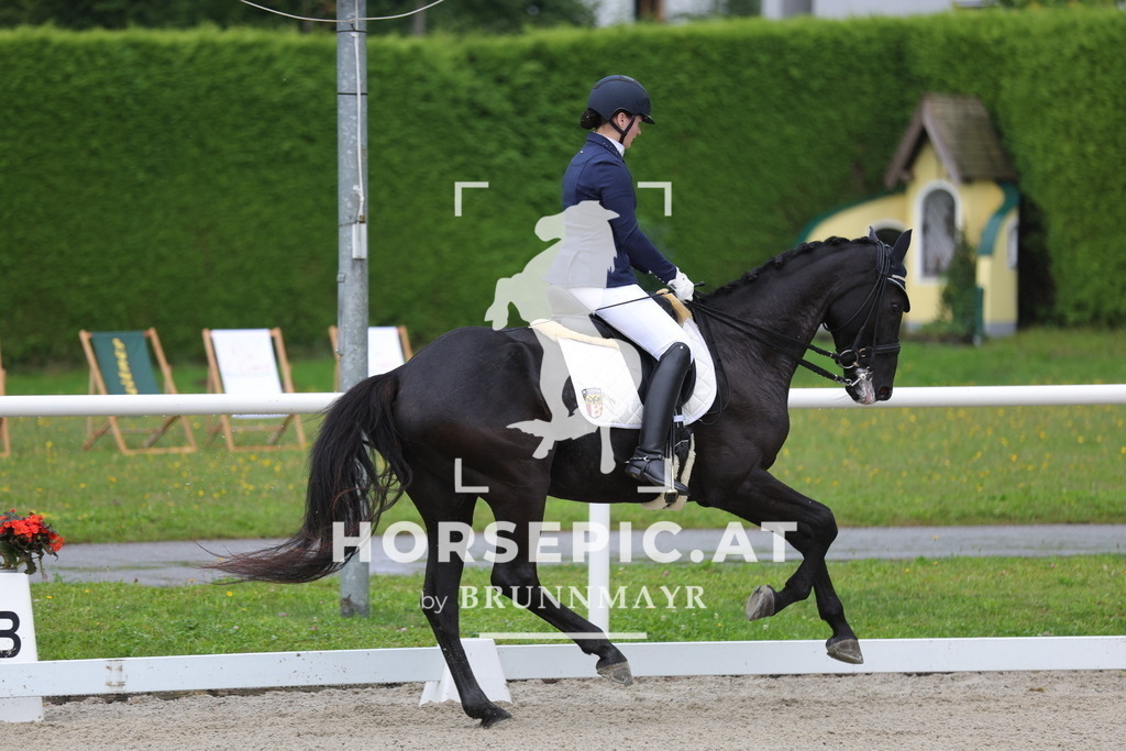 0P6A9596 | Willkommen bei Brunnmayr - Design & Fotografie – Ihrem Spezialisten für Reitturniere und Pferdeveranstaltungen in Oberösterreich, Salzburg und Bayern! Seit über 17 Jahren sind wir leidenschaftlich dabei.