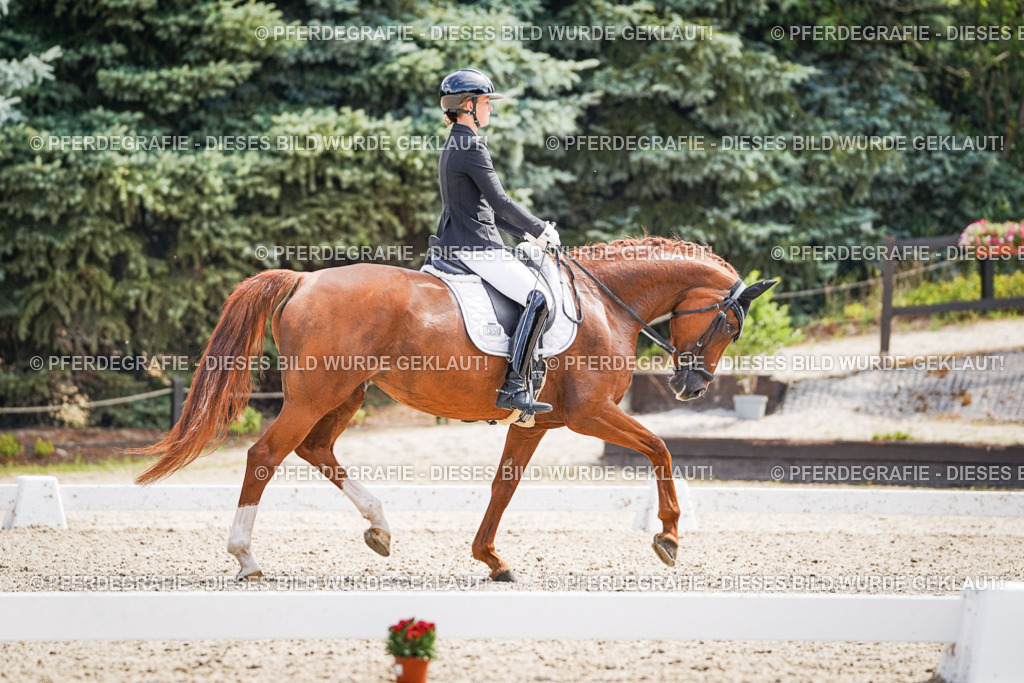 DSC09972 | Pferdegrafie