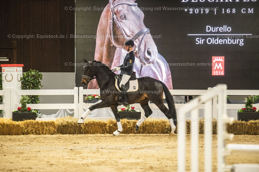 20240302_Hengstvorstellung_Marbach_TOMsPiC_0421-2 | equistock
