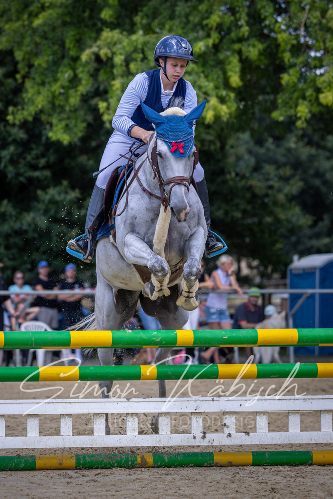 20260704-_3LI9442 | Tierfotografie Pferde, Hunde, Katzen, Haustiere.
Turnierfotografie Reitturniere, Reiten, Springreiten, Dressur in Hanau, dem Main-Kinzig-Kreis und dem Rhein-Main- Gebiet um Frankfurt