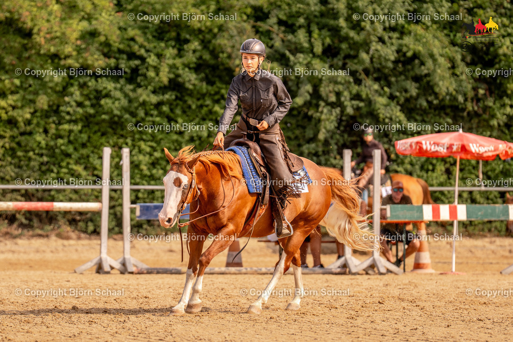 LMS05595 | BS-foto