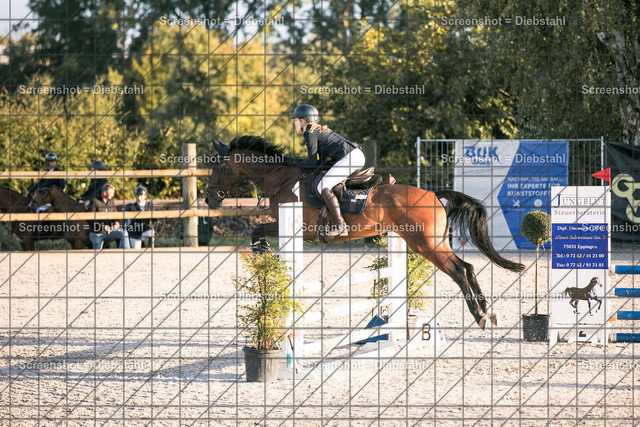 _W6A1138 | ronjaprokoschfotografie - Realisiert mit Pictrs.com