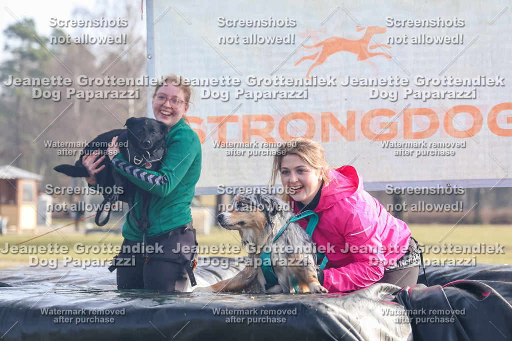Dog Paparazzi - Strongdog North Mrz26-351 | Dog Paparazzi Jeanette Grottendiek Fotografie & Videografie - Realisiert mit Pictrs.com