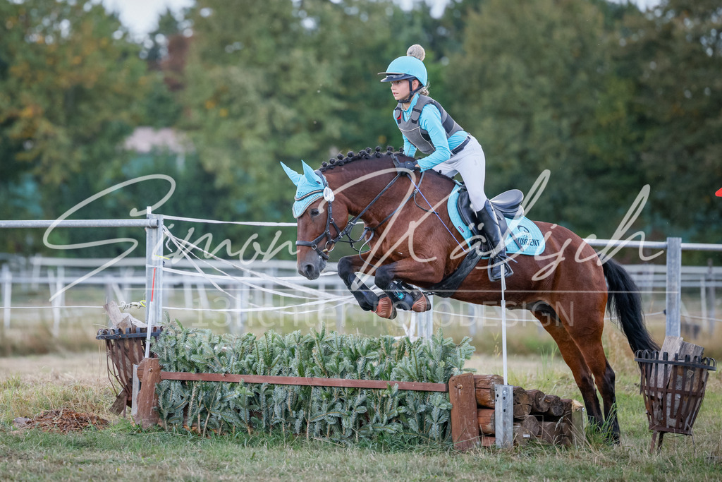 20250905-_3LI2018 | Tierfotografie Pferde, Hunde, Katzen, Haustiere.
Turnierfotografie Reitturniere, Reiten, Springreiten, Dressur in Hanau, dem Main-Kinzig-Kreis und dem Rhein-Main- Gebiet um Frankfurt