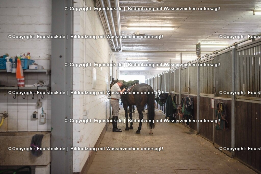 20251011_Jagd-Marbach_0070 | Foto: Thomas Hartig