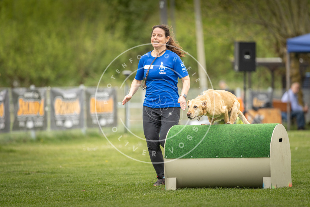 Pfotenfotografie_DV3A1371 | Hundefotografie, Tierfotograf, Pfotenfotografie, Fotoshooting Hund, Hunde Portrait, Hundesport, Hundeportraits, Heideshooting, Hunde, Sportfotograf, Hundefotograf, Turnierhundsport, THS,  - Realisiert mit Pictrs.com