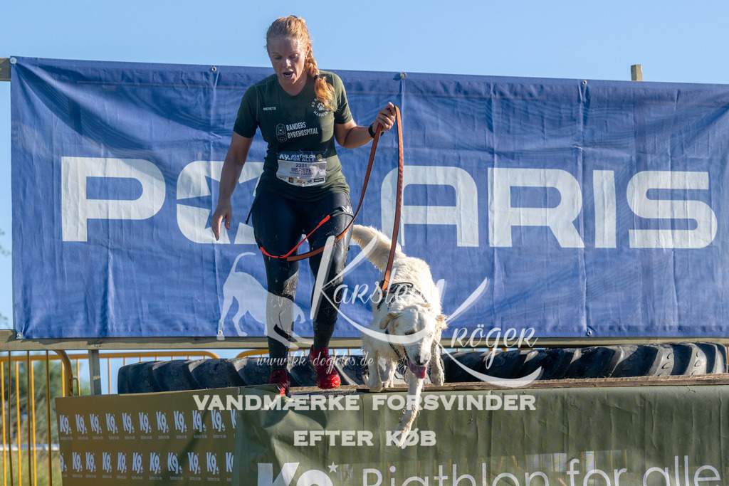 0828_ZZ93858 | kk-dogfotos