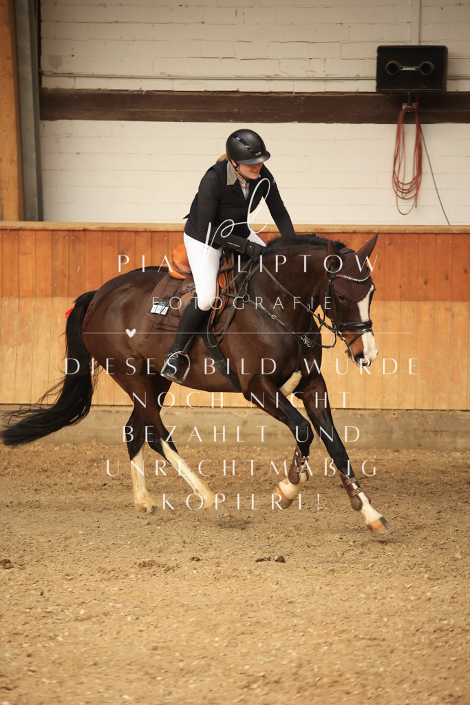 IMGT1250 | pl-fotografie